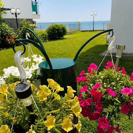 Lejlighed Slice Of Paradise With Sea View Paralia Dionisiou